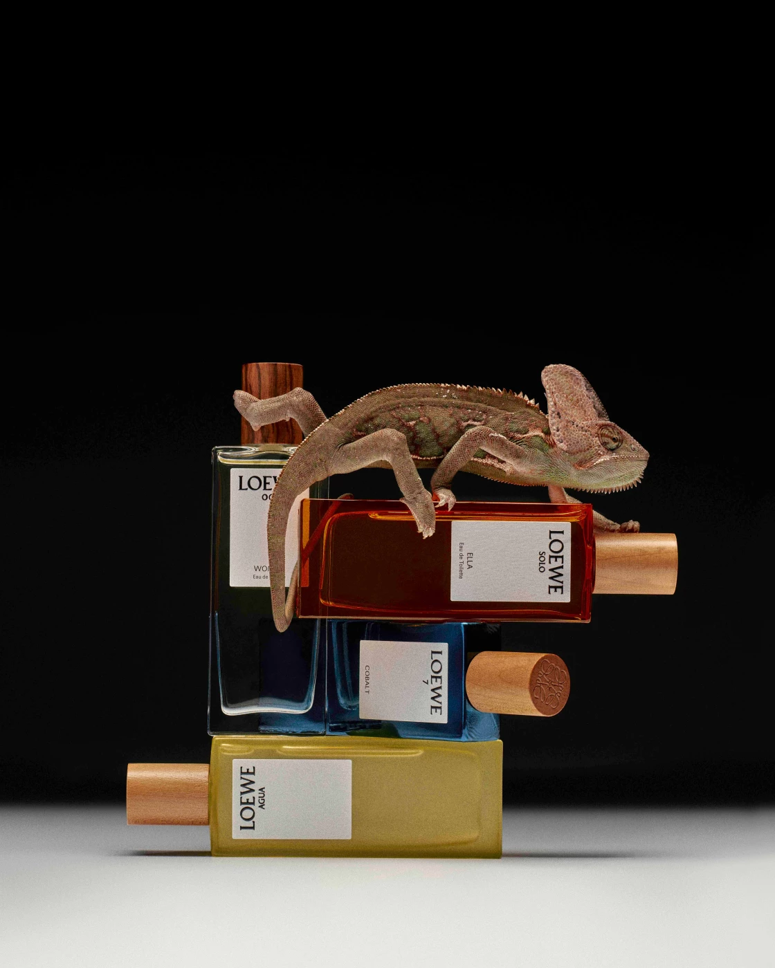 LOEWE // COLOUR AND SCENT 428