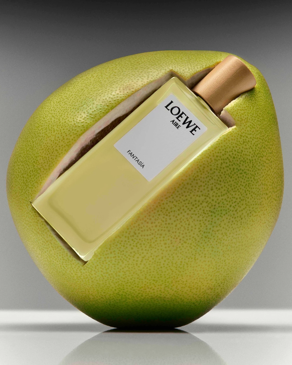 LOEWE // COLOUR AND SCENT 430