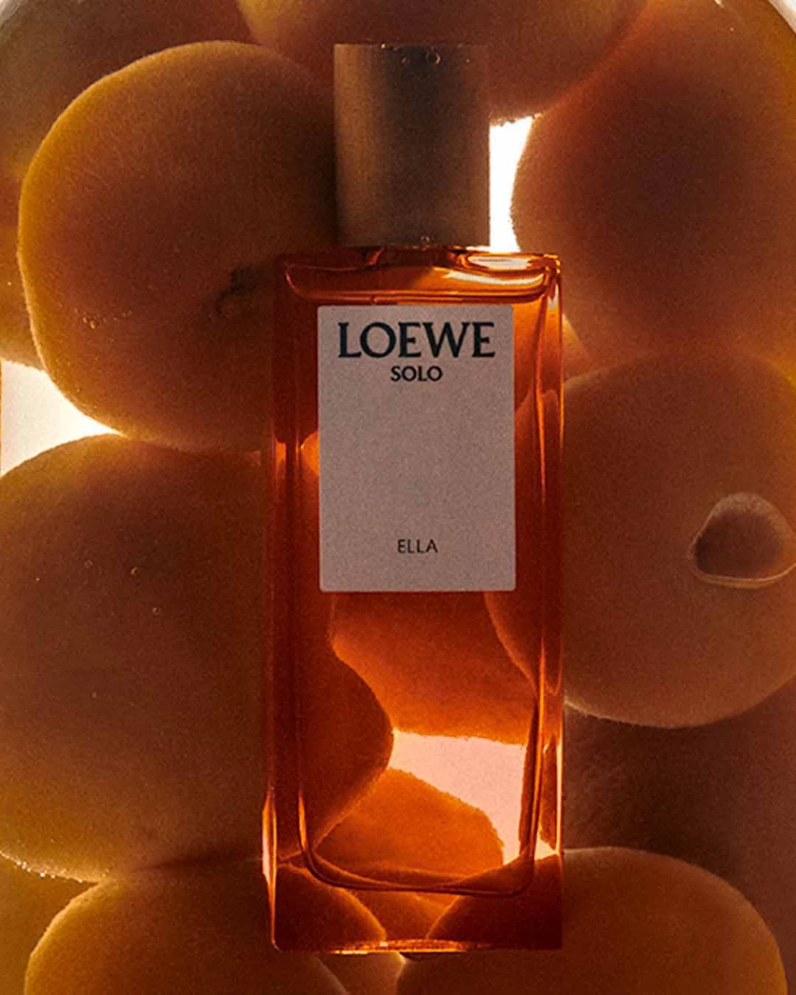 LOEWE // COLOUR AND SCENT 431